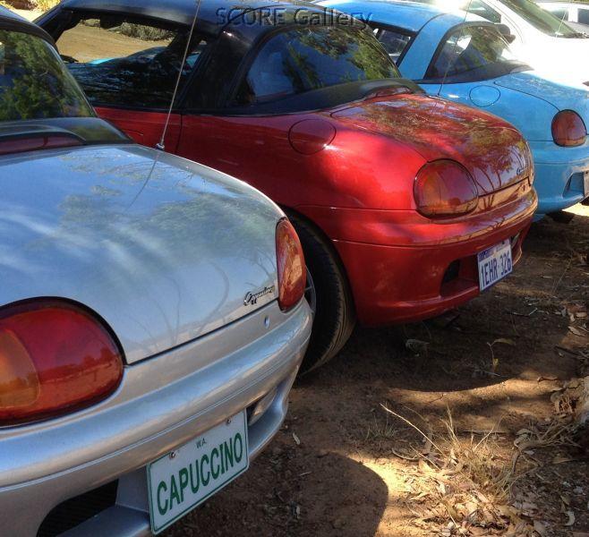 Cappos at Stringybark (09-02-2014)