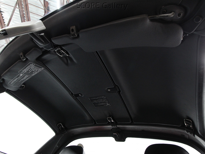 Interior Roof